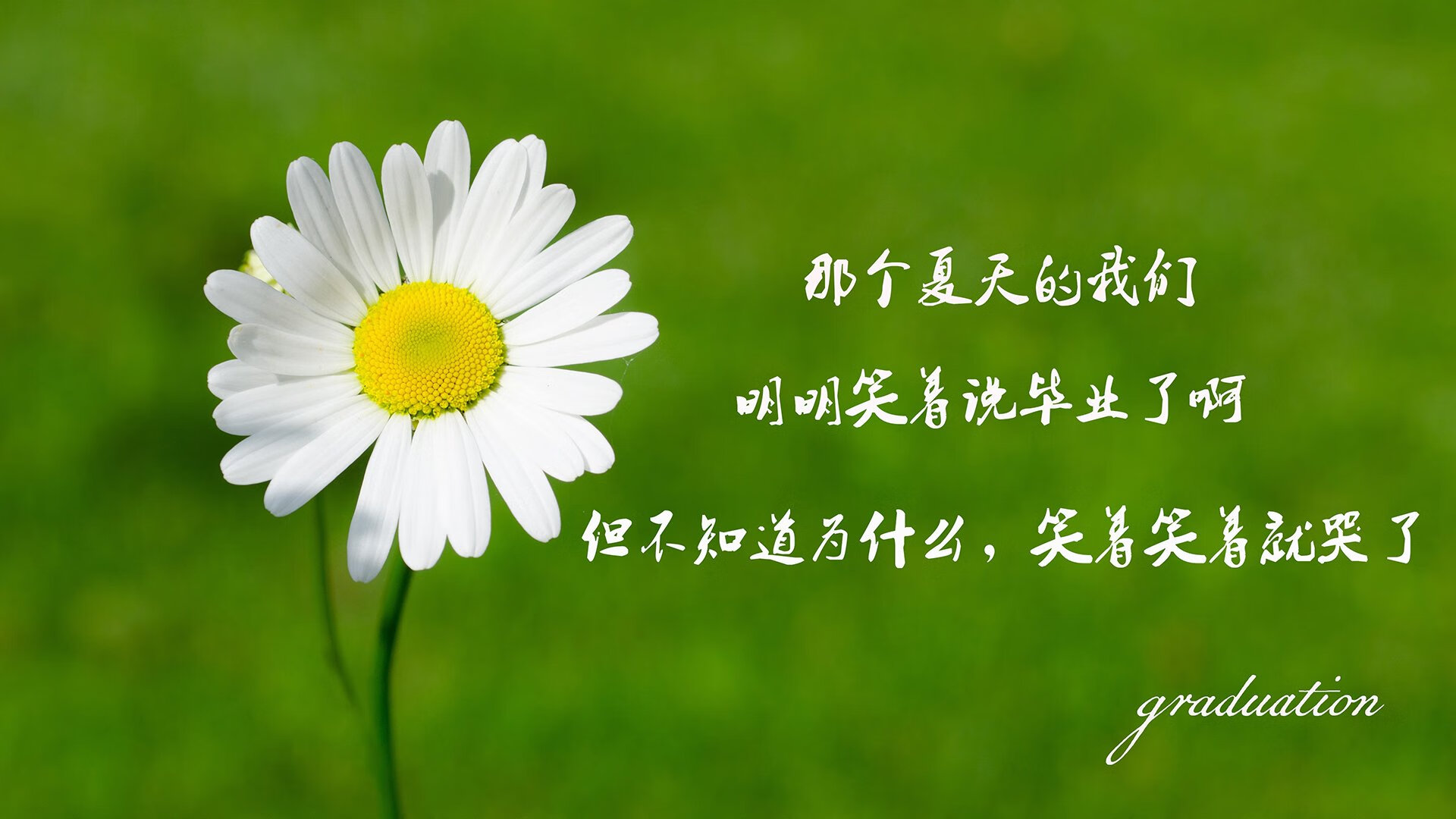 世界杯预选赛中国队战胜 球迷热情高涨,世界杯预选赛中国队怎么样了