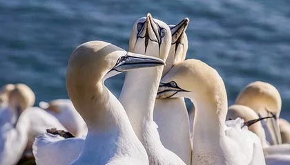 开云官网APP下载-体育科技创业：新兴企业如何重塑足球产业，体育产业中足球职业化发展的建议与对策