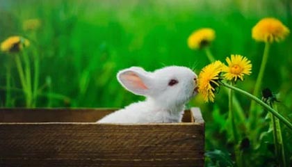 开云中国大陆-中国女篮强调团队协作 增强比赛掌控力，中国女篮很强