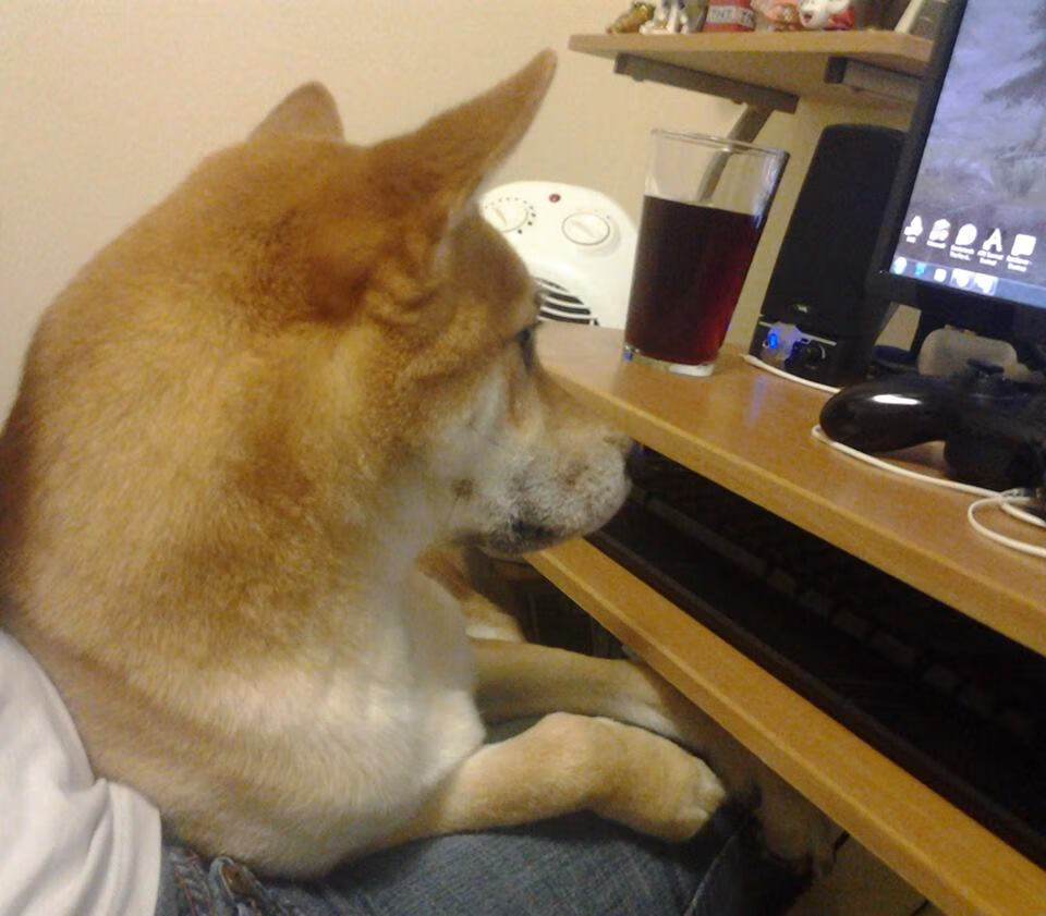 开云官方网站-中国体操队制定奥运动作稳定训练目标，奥运会中国体操团队