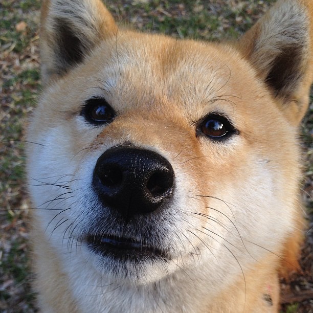 开云体育官网下载安装-体测标准落地推动学校体育常态化，学校体质测试实施方案