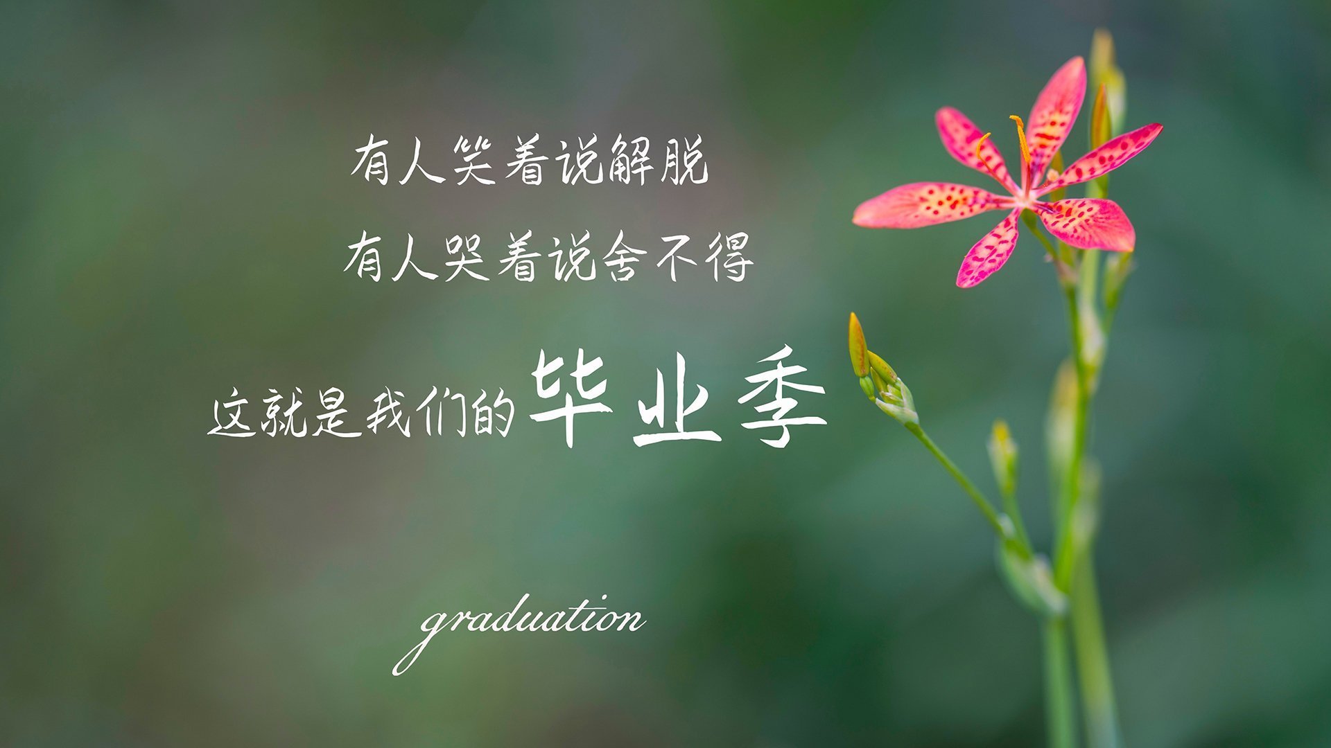 开云全站下载-体育纪录片聚焦运动员备战背后故事，运动员 纪录片