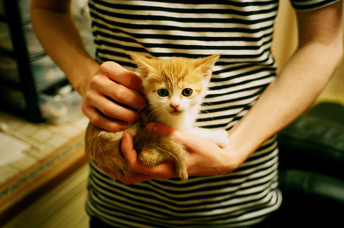 开云体育官方网入口-中超技术顾问团引入海外专家提升比赛技术含量，中超咨询